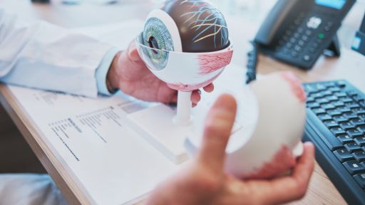 Kas nulemia mūsų akių ypatybes: lęšiukai, tinklainė ir genai